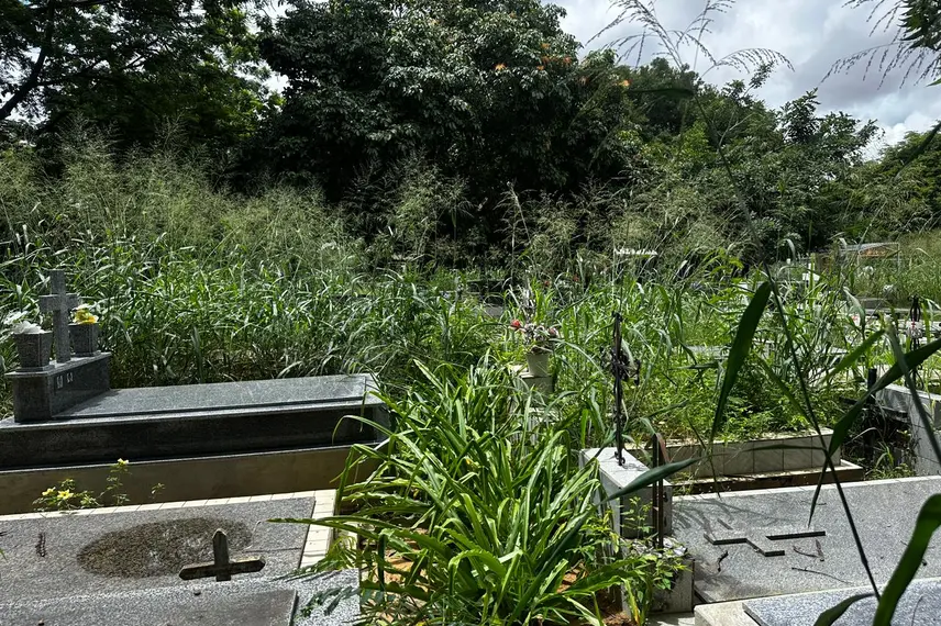 Abandono revolta famílias em cemitério de Teresina e túmulos somem no mato