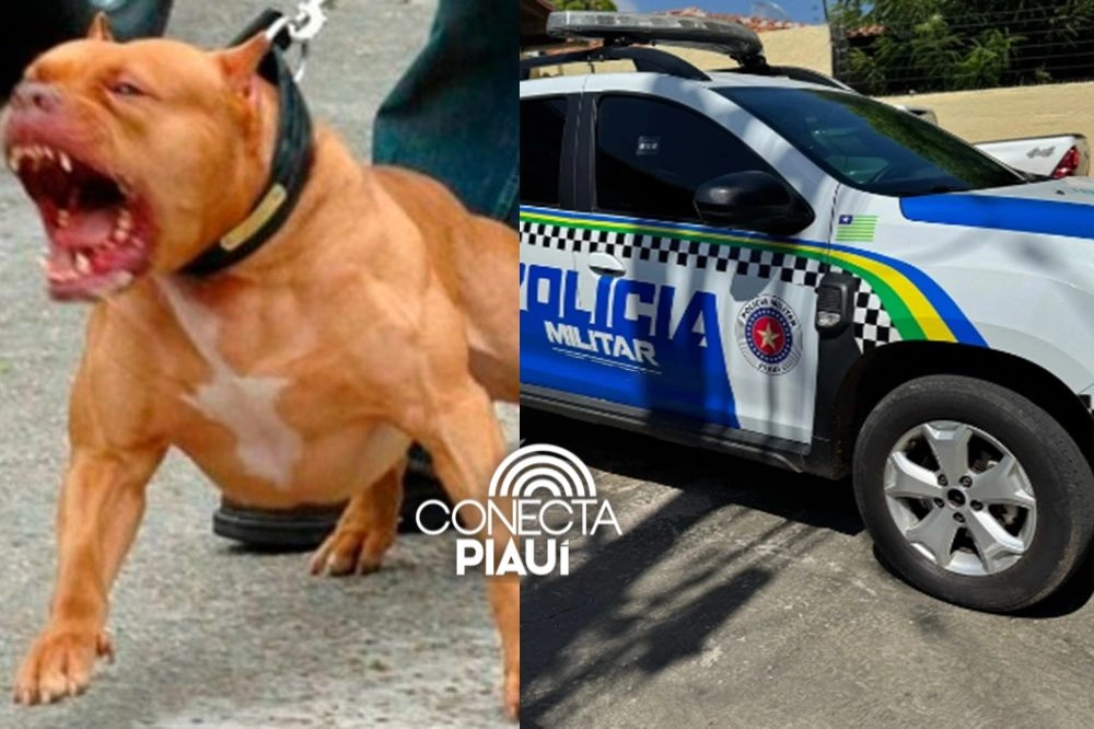 Adolescente de 13 anos é atacado por pitbull e fica gravemente ferido no Piauí