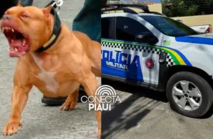 Adolescente de 13 anos é atacado por pitbull e fica gravemente ferido no Piauí (Foto: Reprodução)