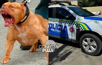 Adolescente de 13 anos é atacado por pitbull e fica gravemente ferido no Piauí