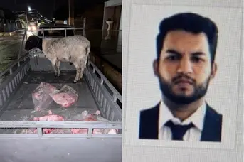 Advogado e comparsa são presos após roubar moto e ovelhas de agricultor no Piauí