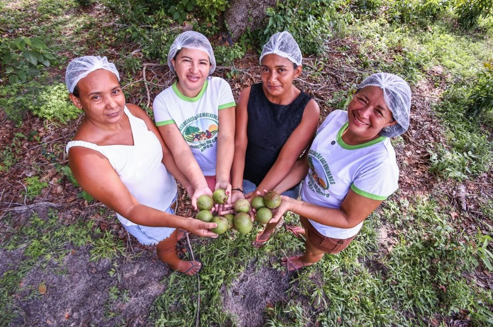 Agricultura Familiar