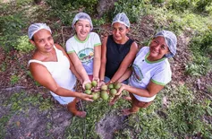 Prazo para edital de R$ 33 milhões da agricultura familiar é prorrogado no Piauí