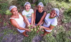 Prazo para edital de R$ 33 milhões da agricultura familiar é prorrogado no Piauí
