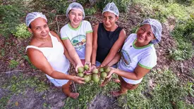 Agricultura Familiar (Foto: Geirlys Silva / SAF)