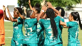 Atlético Piauiense (Foto: Clube Atlético Piauiense)