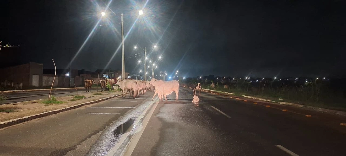 “Avenida da Morte” ganha novas reclamações de quem passa pela região Norte de Teresina