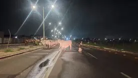 “Avenida da Morte” ganha novas reclamações de quem passa pela região Norte de Teresina (Foto: Reprodução)