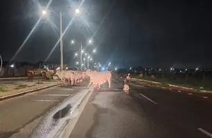 “Avenida da Morte” ganha novas reclamações de quem passa pela região Norte de Teresina (Foto: Reprodução)