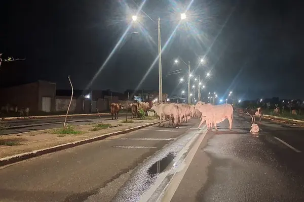 “Avenida da Morte” ganha novas reclamações de quem passa pela região Norte de Teresina