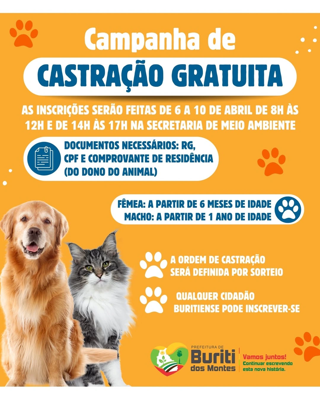 Buriti dos Montes realiza campanha de castração e orienta sobre documentação