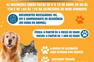 Buriti dos Montes realiza campanha de castração e orienta sobre documentação