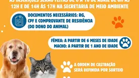 Buriti dos Montes realiza campanha de castração e orienta sobre documentação (Foto: Reprodução)