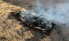 Caixão é encontrado incendiado às margens da BR-316, em Alegrete do Piauí