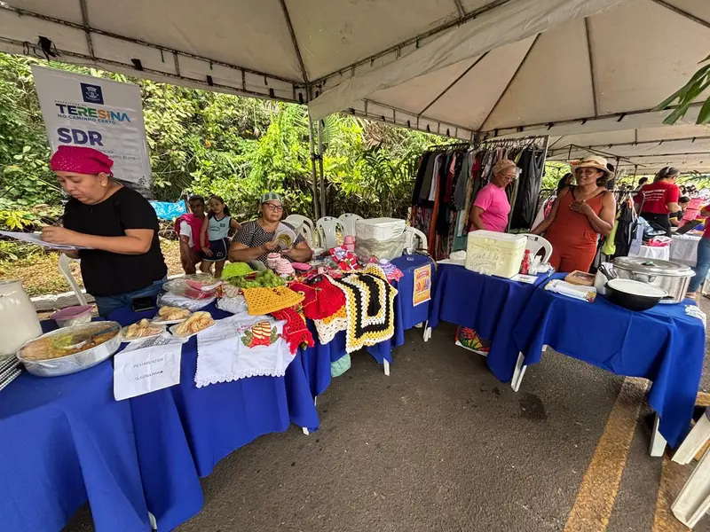 Câmara em Ação mobiliza zona rural de Teresina com serviços e escuta popular