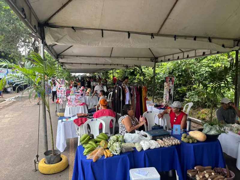 Câmara em Ação mobiliza zona rural de Teresina com serviços e escuta popular