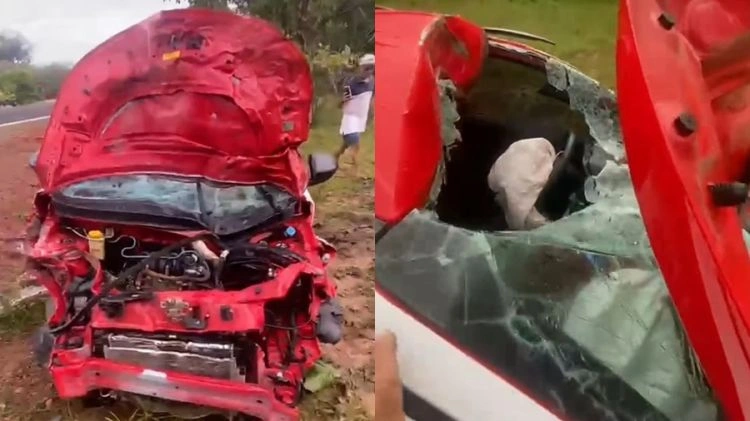 Caminhonete bate em quatro bois e fica destruída; ocupantes saem ilesos no Piauí