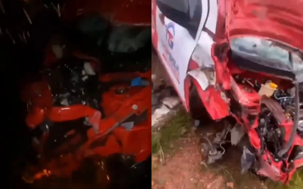 Caminhonete colide com animais na PI-223 e quatro bovinos morrem em Beneditinos