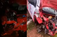 Caminhonete colide com animais na PI-223 e quatro bovinos morrem em Beneditinos
