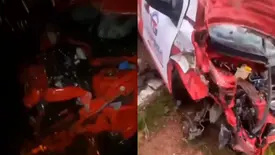 Caminhonete colide com animais na PI-223 e quatro bovinos morrem em Beneditinos (Foto: Reprodução)