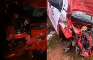 Caminhonete colide com animais na PI-223 e quatro bovinos morrem em Beneditinos (Foto: Reprodução)