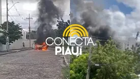 Carro pega fogo e fica completamente destruído na zona Norte de Teresina (Foto: Reprodução)