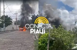 Carro pega fogo e fica completamente destruído na zona Norte de Teresina (Foto: Reprodução)