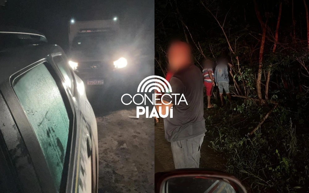Corpo em decomposição é encontrado em mata na zona rural de Curralinhos