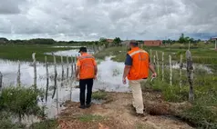 Defesa Civil intensifica ações em Ilha Grande após inundações