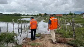 Defesa Civil intensifica ações em Ilha Grande após inundações (Foto: Ascom Defesa Civil)