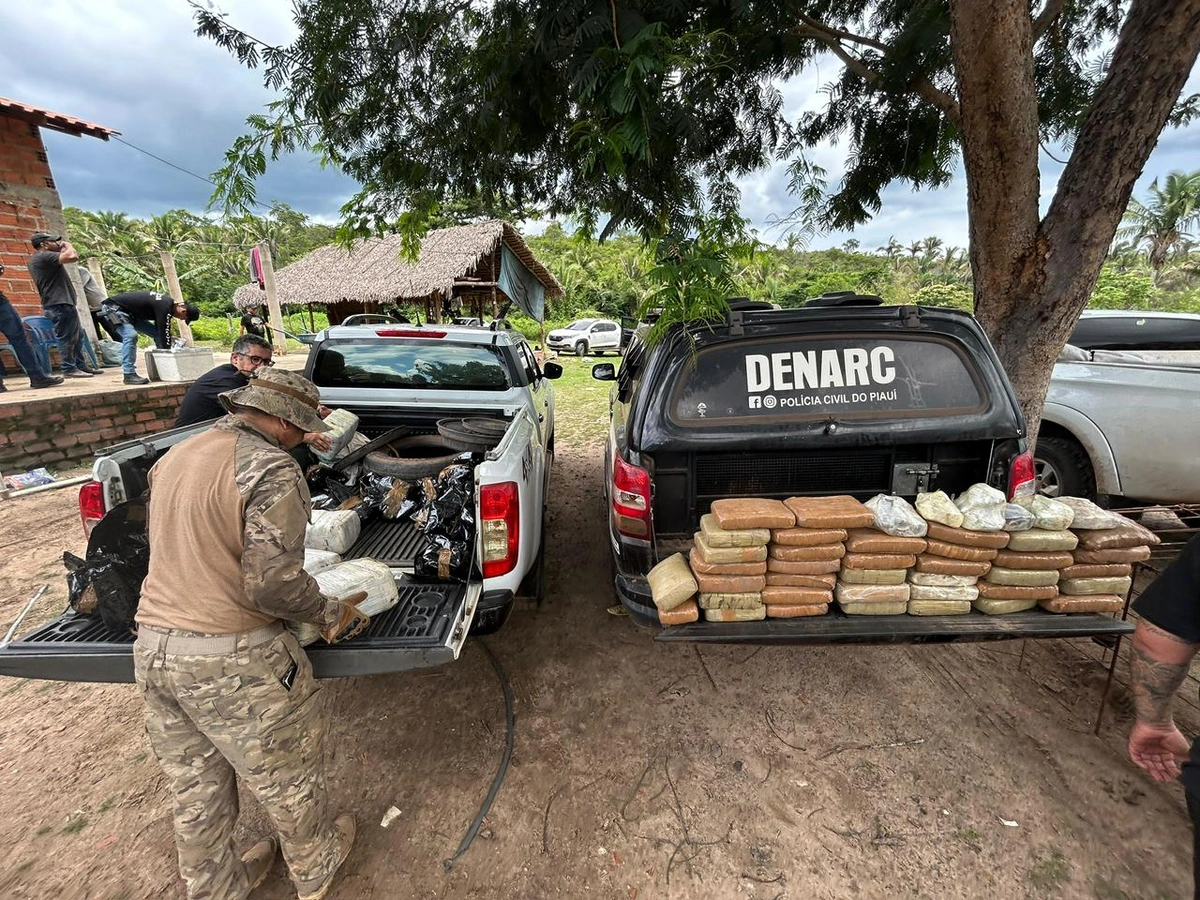 Denarc apreende mais de 730 kg de drogas no Piauí em 2026