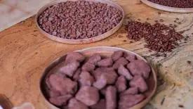 Dia Nacional do Aço: entenda como Piauí se tornou uma revelação na mineração (Foto: Gabriel Paulino/ Ascom)