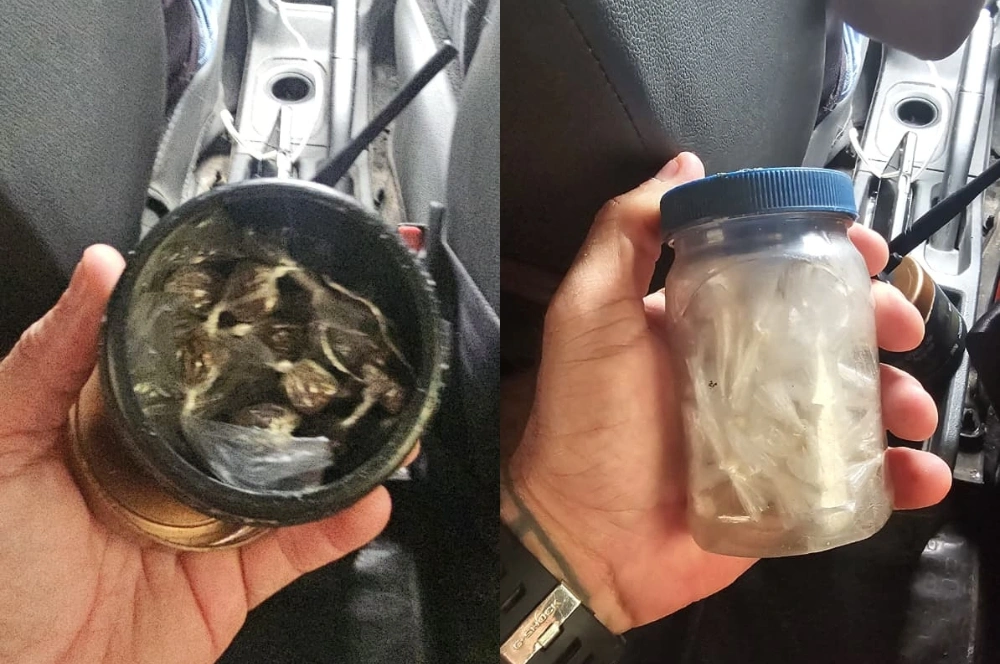 Drone localiza esconderijo de drogas na 'Invasão do Alto Santa Maria', em Parnaíba