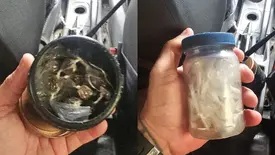 Drone localiza esconderijo de drogas na 'Invasão do Alto Santa Maria', em Parnaíba (Foto: Divulgação/Polícia Civil)