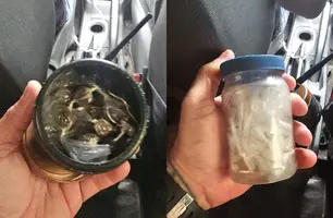 Drone localiza esconderijo de drogas na 'Invasão do Alto Santa Maria', em Parnaíba (Foto: Divulgação/Polícia Civil)