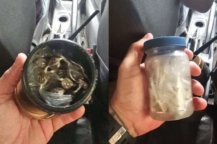 Drone localiza esconderijo de drogas na 'Invasão do Alto Santa Maria', em Parnaíba