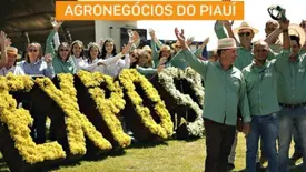 ExpoSoja se aproxima e já entra na contagem regressiva final no Piauí (Foto: Reprodução)