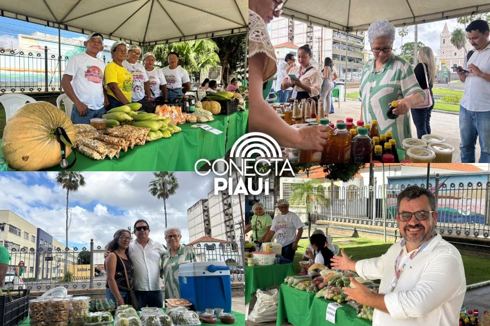 Feira da SAF no Palácio de Karnak impulsiona Agricultura Familiar no Piauí
