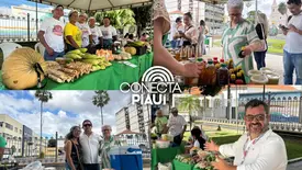 Feira da SAF no Palácio de Karnak impulsiona Agricultura Familiar no Piauí (Foto: Conecta Piauí)