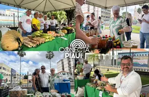Feira da SAF no Palácio de Karnak impulsiona Agricultura Familiar no Piauí (Foto: Conecta Piauí)