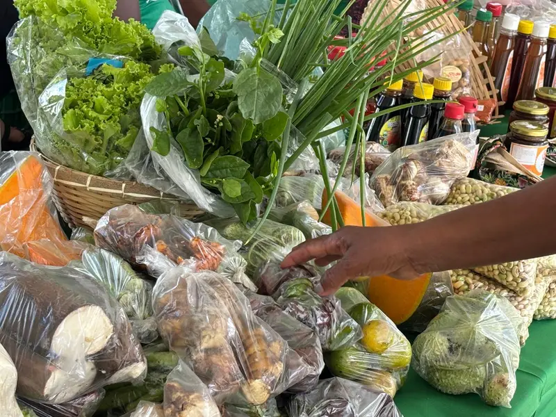 Feira da SAF no Palácio de Karnak impulsiona Agricultura Familiar no Piauí