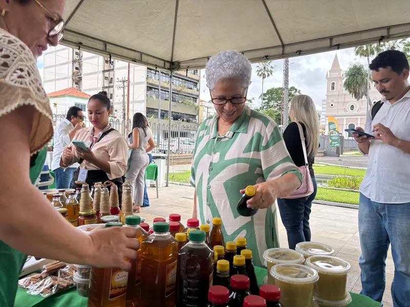 Feira da SAF no Palácio de Karnak impulsiona Agricultura Familiar no Piauí
