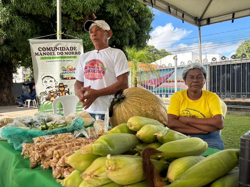 Feira da SAF no Palácio de Karnak impulsiona Agricultura Familiar no Piauí