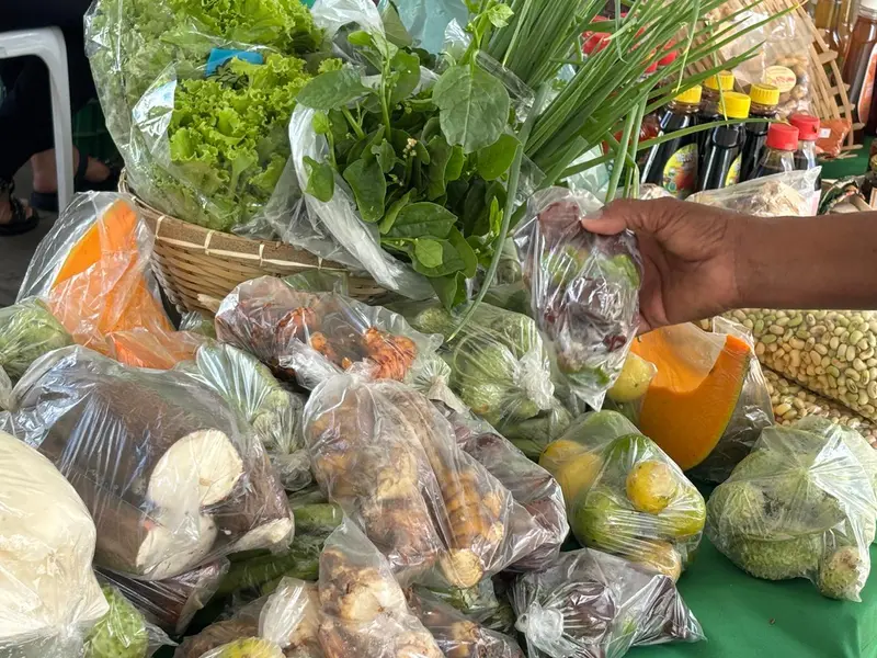 Feira da SAF no Palácio de Karnak impulsiona Agricultura Familiar no Piauí