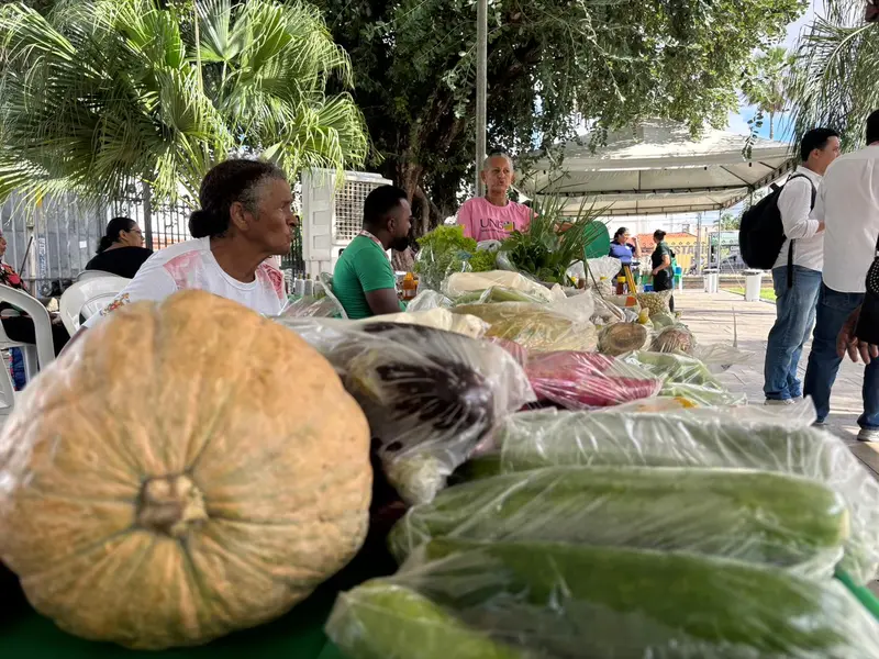 Feira da SAF no Palácio de Karnak impulsiona Agricultura Familiar no Piauí