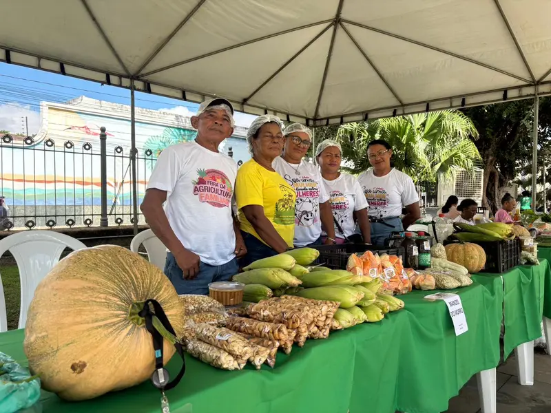 Feira da SAF no Palácio de Karnak impulsiona Agricultura Familiar no Piauí