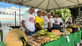 Feira da SAF no Palácio de Karnak impulsiona Agricultura Familiar no Piauí (Foto: Conecta Piauí)