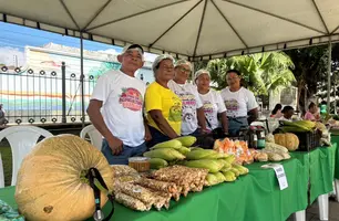 Feira da SAF no Palácio de Karnak impulsiona Agricultura Familiar no Piauí (Foto: Conecta Piauí)