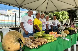Feira da SAF no Palácio de Karnak impulsiona Agricultura Familiar no Piauí (Foto: Conecta Piauí)