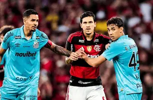 Flamengo vence Santos por 3 a 1 no Maracanã e retorna ao G4 do Brasileirão (Foto: Reprodução)